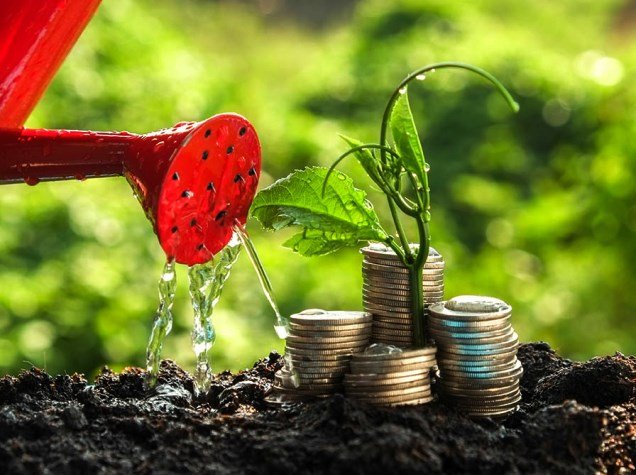 Financiranje poduzeća Daneio Bank